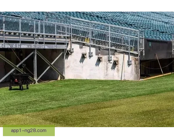 2026世界杯决赛场地大都会体育场将进行30天草坪封闭养护工作